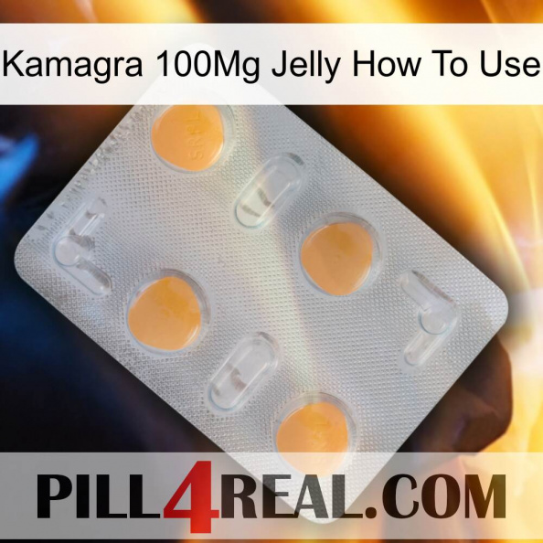 Kamagra 100Mg Jelly How To Use 24.jpg